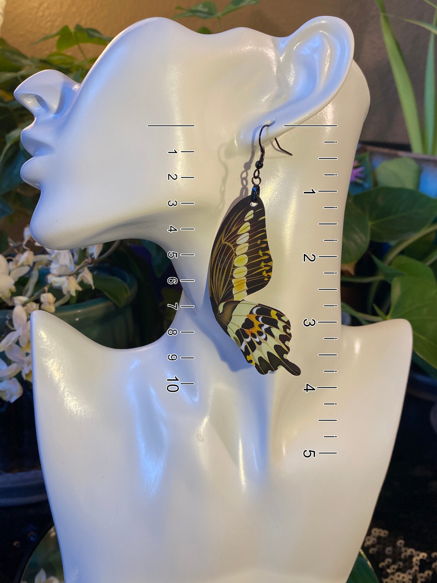(Nightlife) King Swallowtail