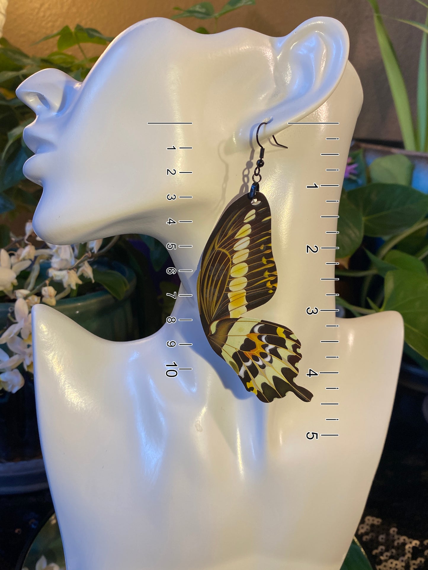 (Nightlife) King Swallowtail