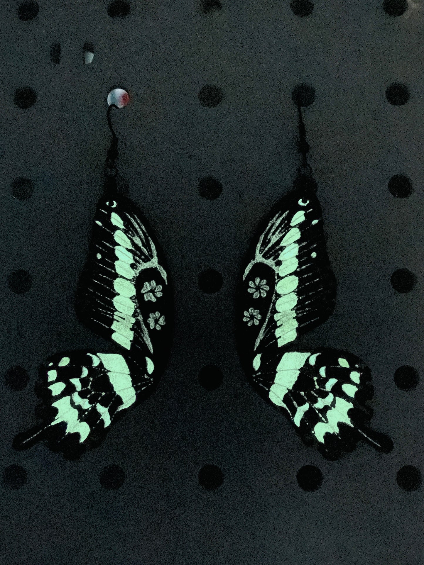 (Nightlife) King Swallowtail
