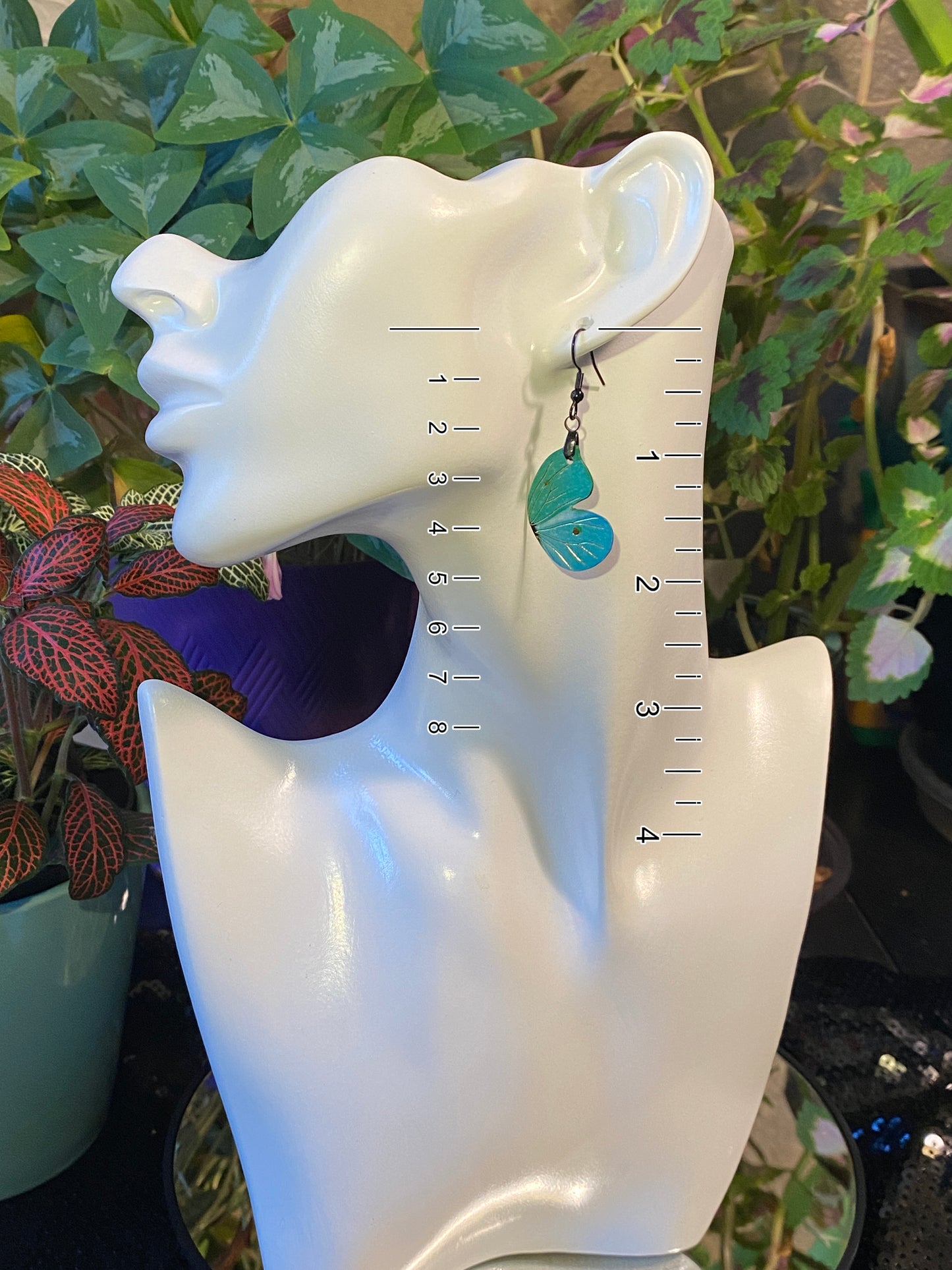 Labrador Sulphur earrings