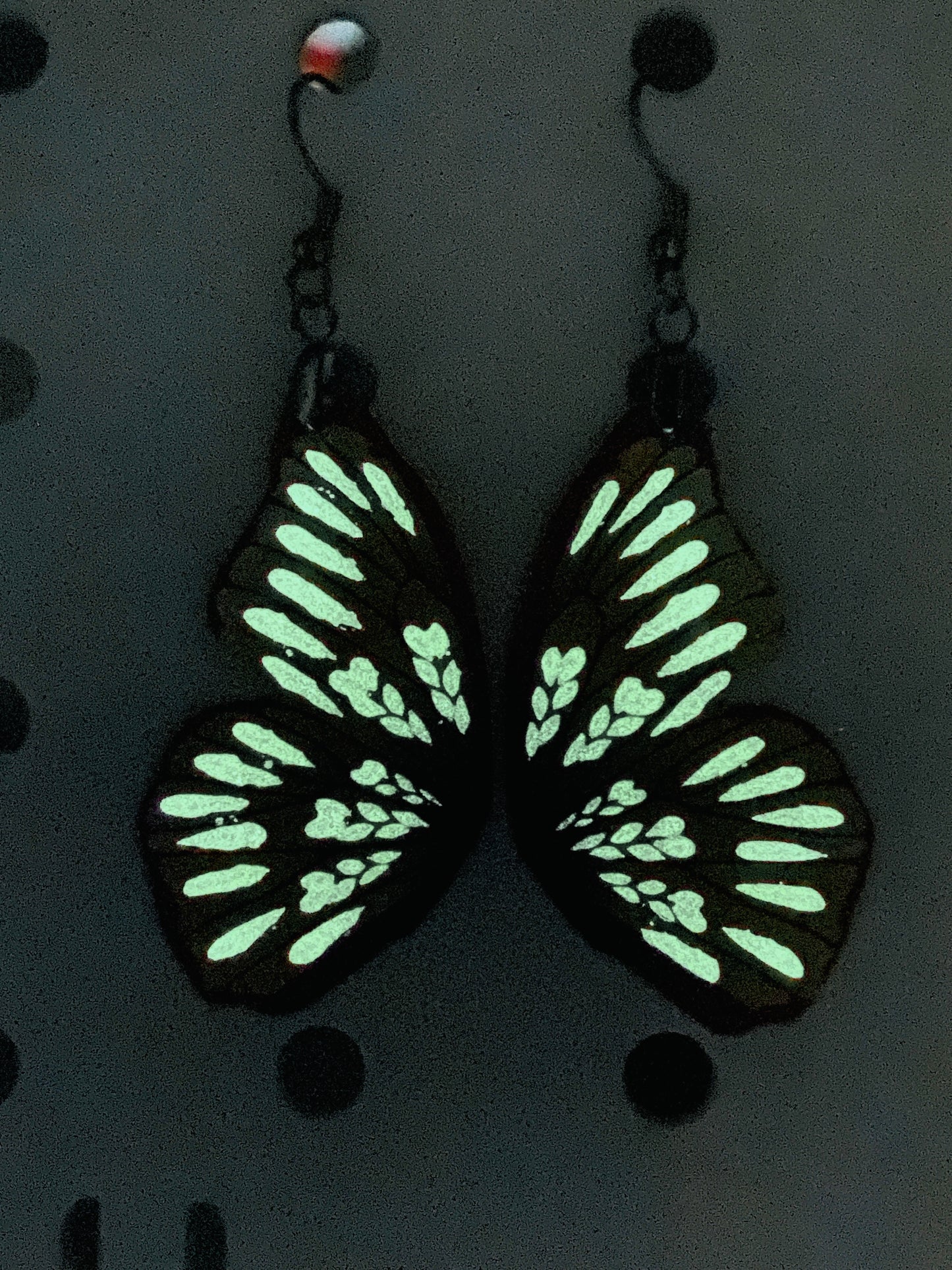 (Nightlife) Menalaus Blue Morpho