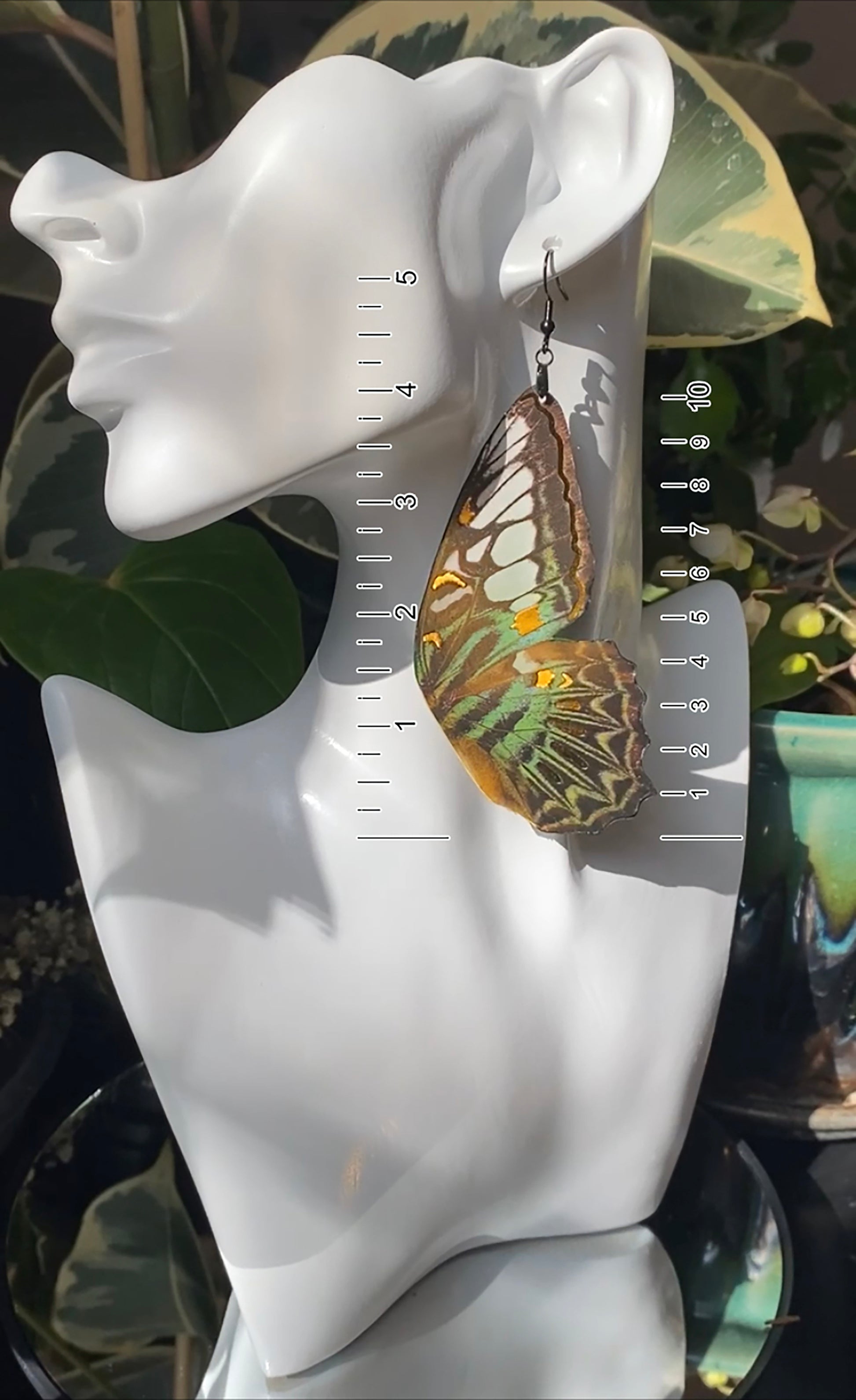 Clipper butterfly earrings