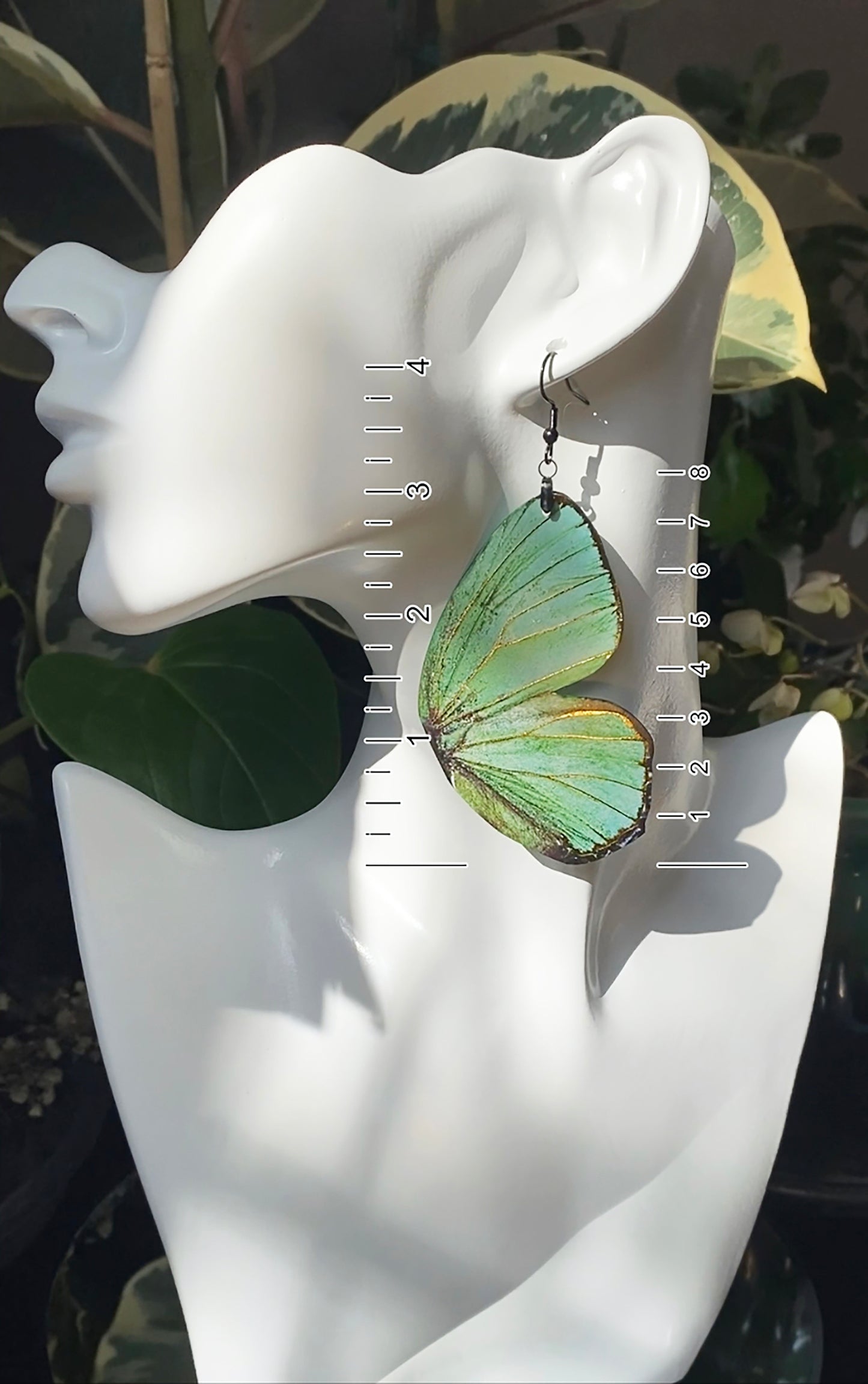 (Turquoise) Green Hairstreak