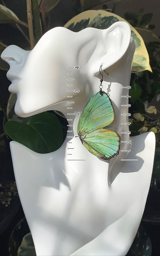 (Turquoise) Green Hairstreak