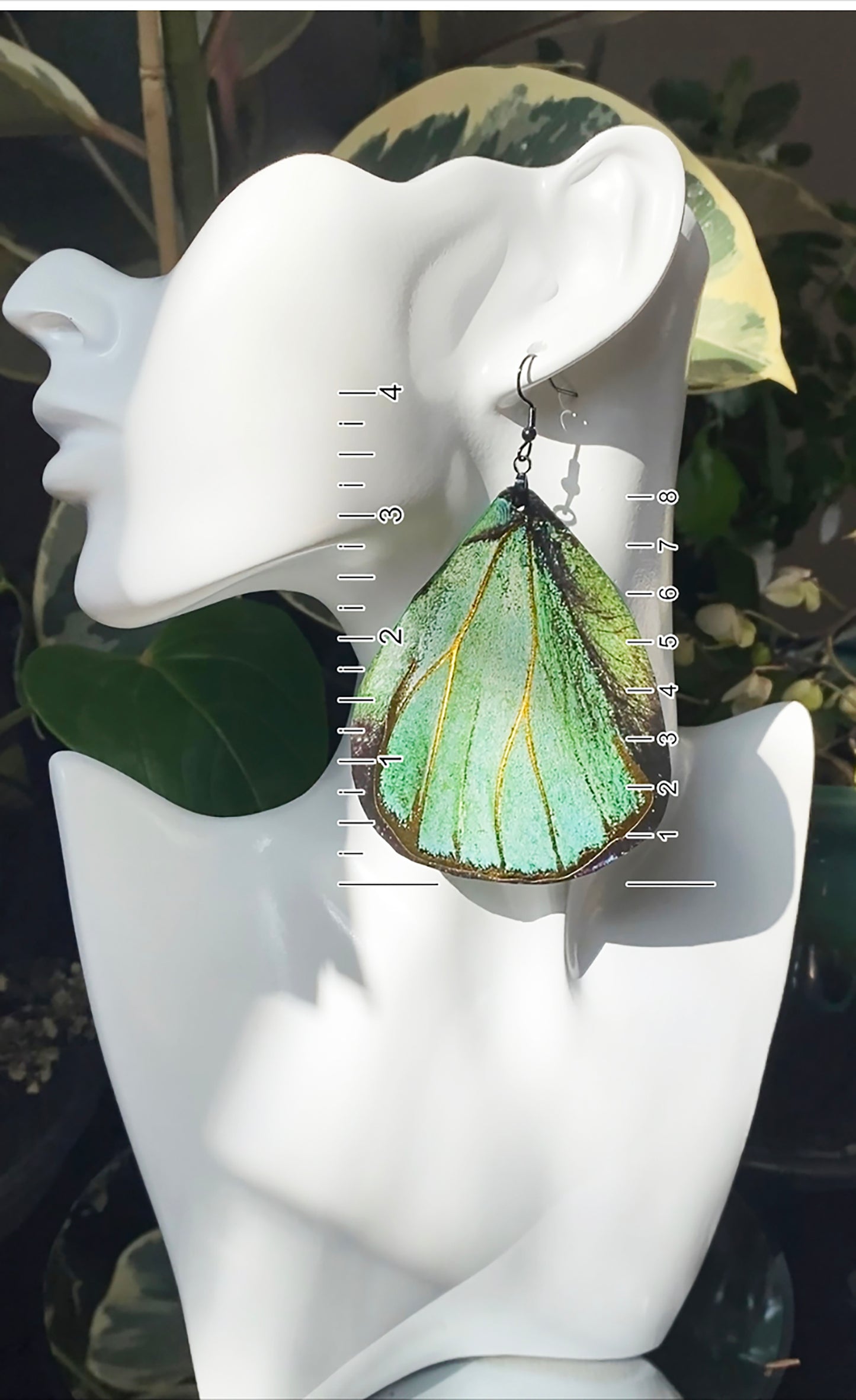 (Turquoise) Green Hairstreak