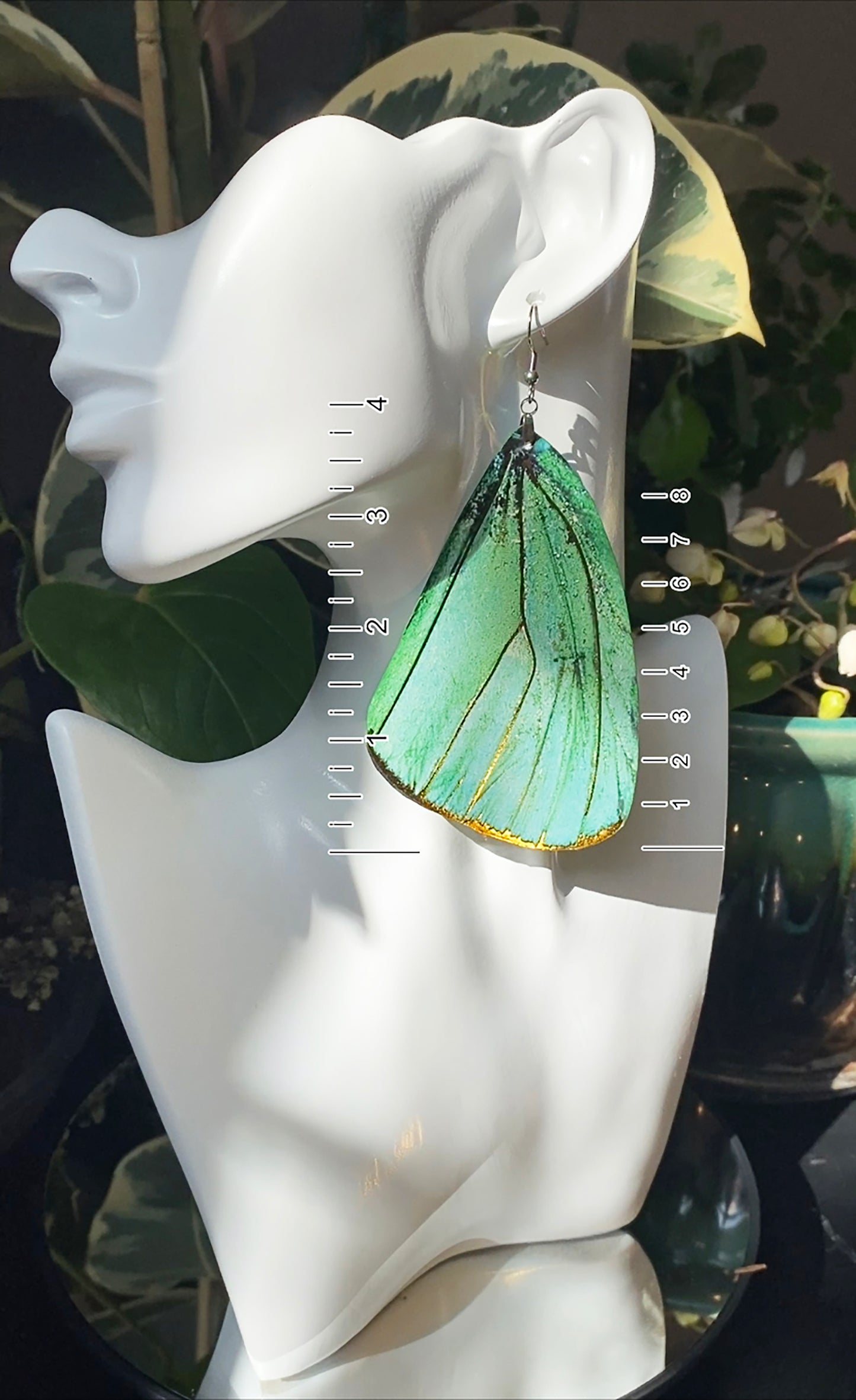 (Turquoise) Green Hairstreak