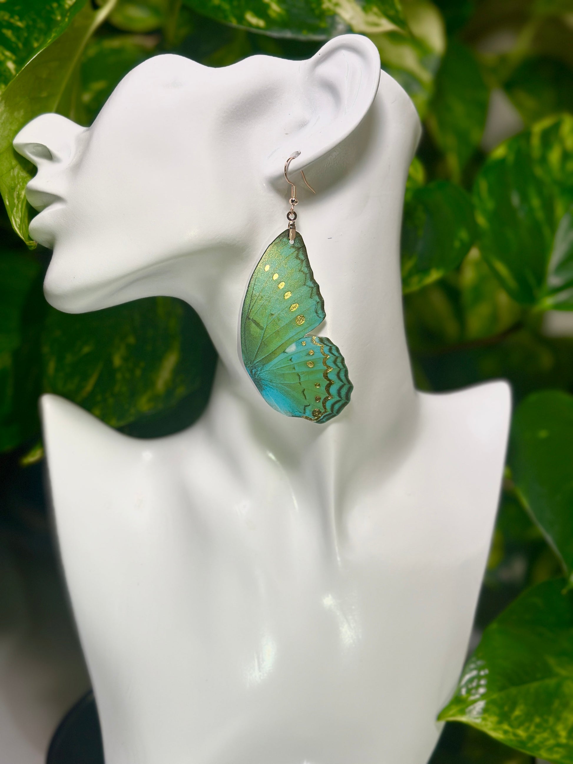 Brown Morpho butterfly earrings