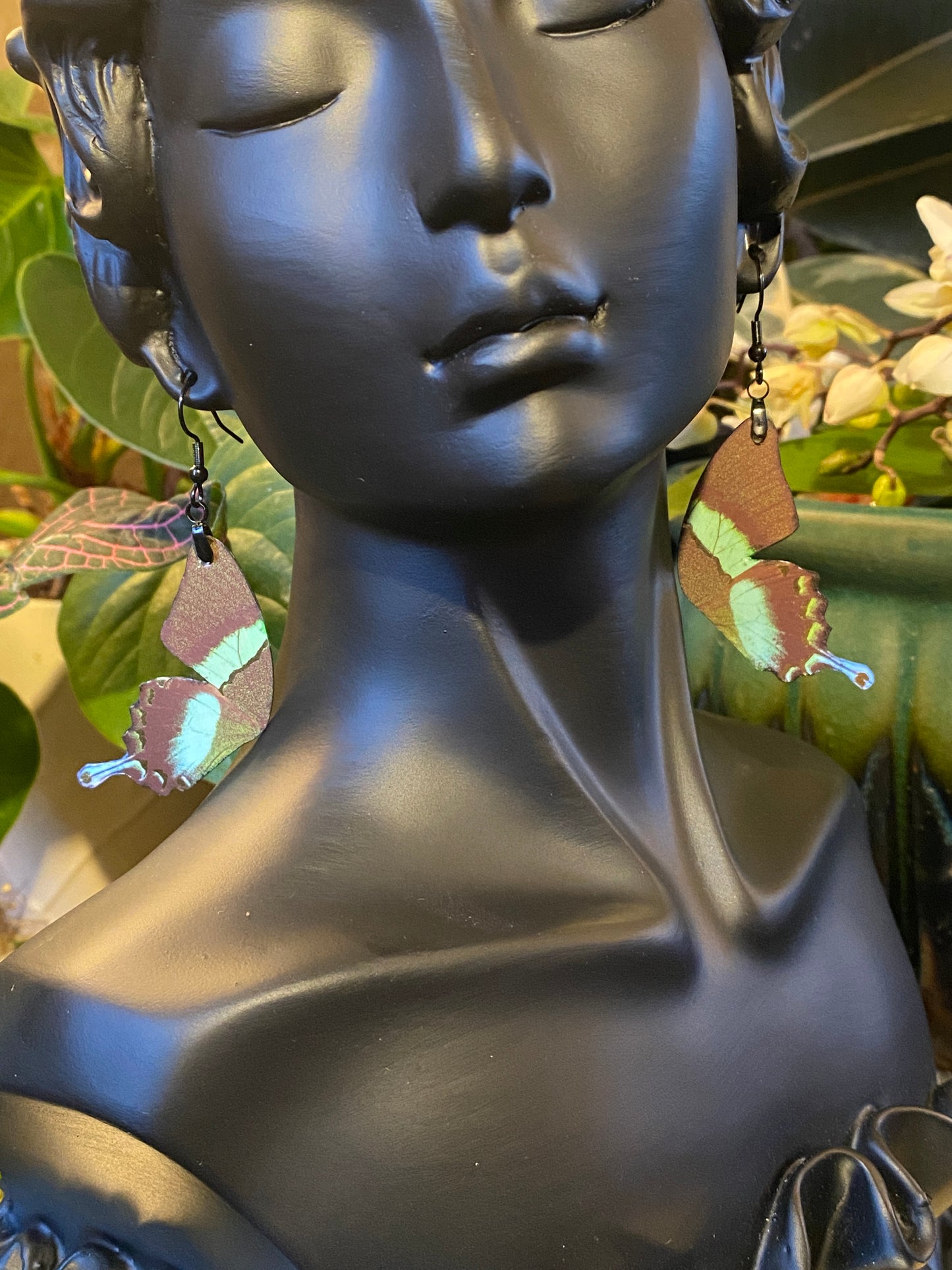 (Turquoise) Emerald Swallowtail
