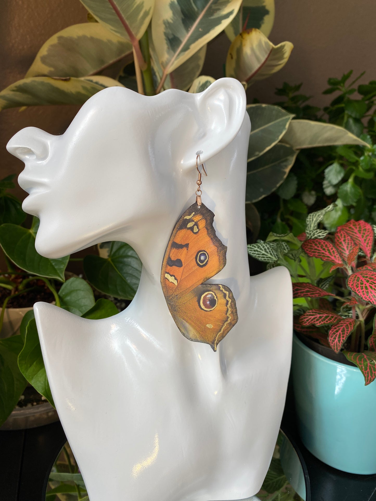 Peacock Pansy butterfly earrings