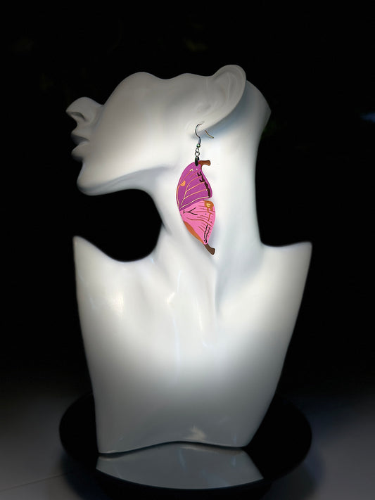(Dragonfruit) Brown Morpho