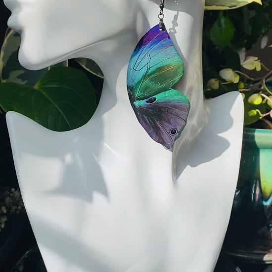 Sahyadri Blue Oakleaf butterfly earrings