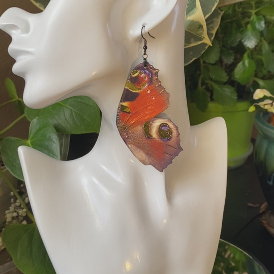 Peacock butterfly earrings