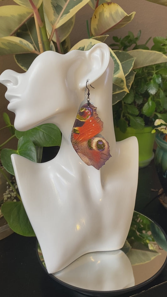 Peacock butterfly earrings