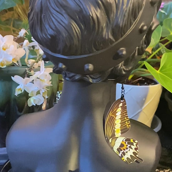 King Swallowtail butterfly earrings movie
