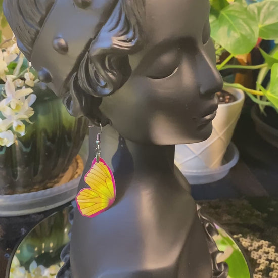 Menelaus Blue Morpho movie