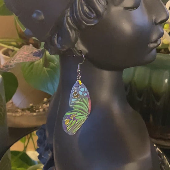 Harlequin Moth earrings