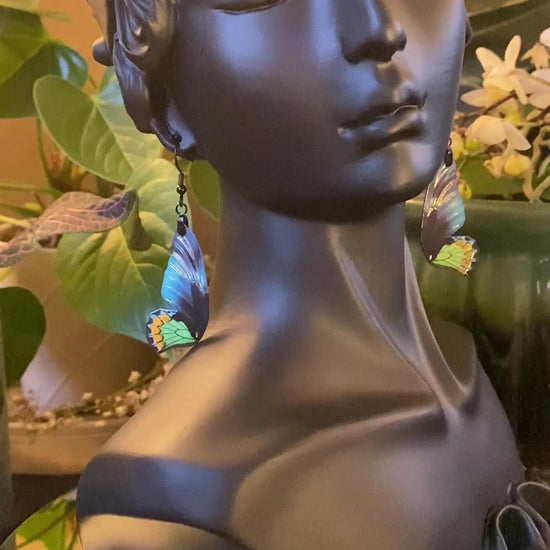 Goliath Birdwing earrings