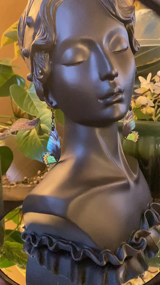 Goliath Birdwing earrings