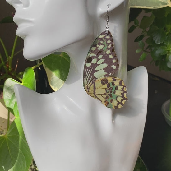 Lime butterfly earrings