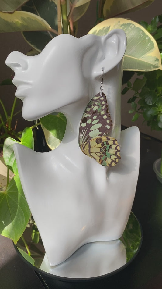 Lime butterfly earrings